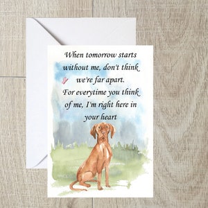 Hungarian Vizsla Dog A6 (4"x 6") Tarjeta de simpatía (en blanco en el interior) de Starprint Gifts and Designs. En blanco para escribir tu propio mensaje en su interior.
