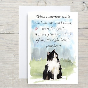 Schwarz-Weiße Katze A6 (10x6") Sympathiekarte (Blank Inside) von Starprint Geschenke und Designs. Leer, um Ihre eigene Nachricht hinein zu schreiben.