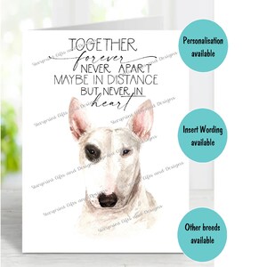 Bullterrier Hund Beileidkarte (innen leer) von Starprint Geschenke und Designs. Blank, um Ihre eigene Nachricht hineinzuschreiben