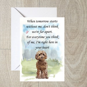 Cockerpoo BraunEr Hund A6 (10x6") Sympathiekarte (Blanko Innen) von Starprint Geschenke und Designs. Leer, um Ihre eigene Nachricht hinein zu schreiben.