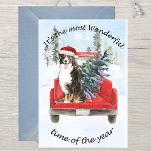 Berner Sennenhund A6 Weihnachtskarte (Blanko Innen) von Starprint Geschenke und Designs. Viel Platz für die eigene Botschaft drinnen.