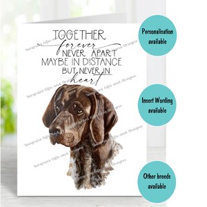 Deutsch Kurzhaar Pointer Hund A6 (4 "x 6") Beileidkarte (innen leer) von Starprint Geschenke und Designs. Blank, um Ihre eigene Nachricht hineinzuschreiben