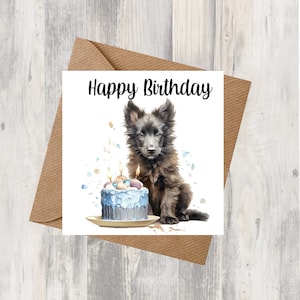 Tarjeta de cumpleaños de perro pastor belga de 6.0 x 6.0 in, regalos y diseños de Starprint. Espacio para su propio mensaje en el interior. Se puede personalizar.