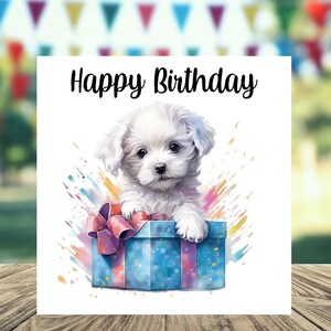 Carte d'anniversaire chien Bichon frisé 6 x 6 po. - Cadeaux et designs avec empreintes d'étoiles. De la place pour votre propre message à l'intérieur. Peut être personnalisé.