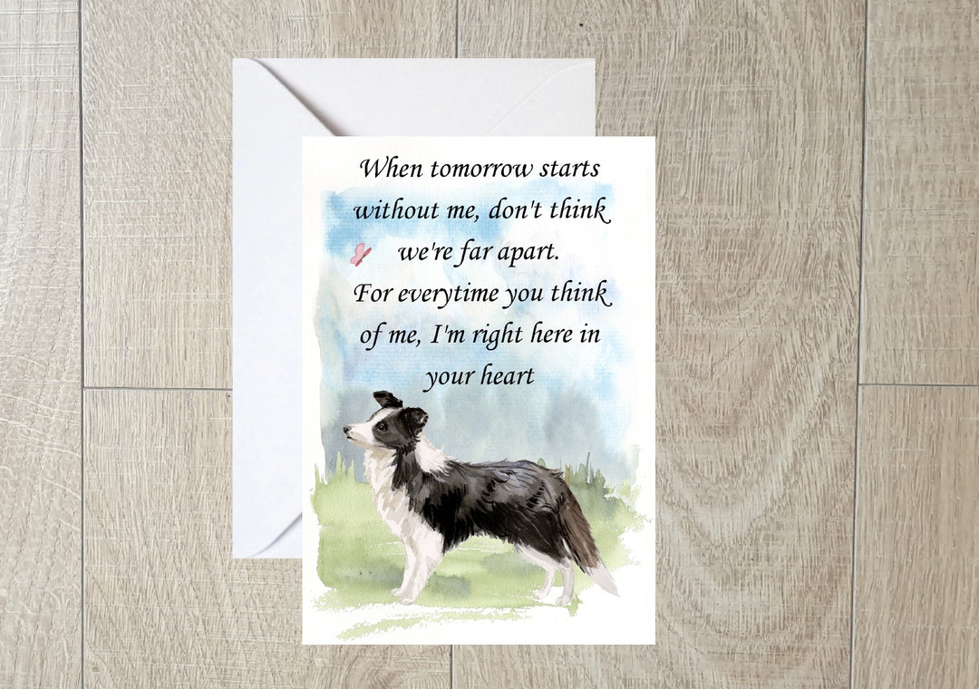 Border Collie Dog A6 (4"x 6") Sympathy Card (blank Inside) by Starprint ...