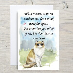Wunderschöne Ragdoll Katze A6 (10 x 16") Sympathiekarte (Blanko Innen) von Starprint Geschenke und Designs. Leer, um Ihre eigene Nachricht hinein zu schreiben.