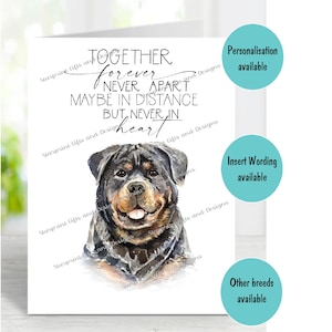 Rottweiler Hund A6 (4 "x 6 ") Beileid Karte (innen leer) von Starprint Geschenke und Designs . Blank, um Ihre eigene Nachricht hineinzuschreiben