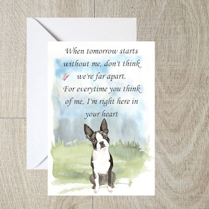 Carte de sympathie Boston Terrier Dog A6 (4"x 6 ») (vierge à l’intérieur) par Starprint Gifts and Designs. Vide pour écrire votre propre message à l’intérieur.