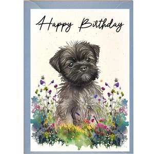 Affenpinscher Verjaardagskaart /Notelet (6"x 4") met Envelop - Ideaal voor elke gelegenheid. Kan leeg worden gelaten indien gewenst of gepersonaliseerd