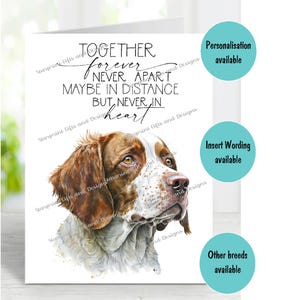 Bretonische Hund A6 (4 "x 6 ") Beileid Karte (innen leer) von Starprint Geschenke und Designs . Blank, um Ihre eigene Nachricht hineinzuschreiben