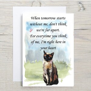 Schildpatt Katze A6 (10 x 16") Sympathiekarte (Blanko Innen) von Starprint Geschenke und Designs. Leer, um Ihre eigene Nachricht hinein zu schreiben.