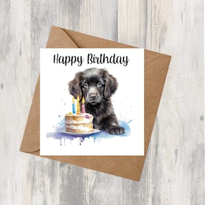 Carte d'anniversaire pour chien Retriever à poil plat de 15 x 15 cm (6 po. x 15 po.) - Cadeaux et designs avec empreintes d'étoiles. De la place pour votre propre message à l'intérieur. Peut être personnalisé.