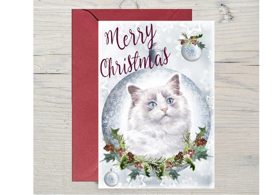 Lettering Cat Message Cards Lettering Cat Message Cards
