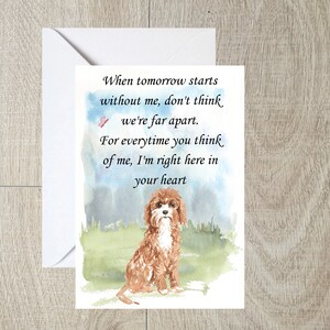 Cavapoo Hund A6 (10x6") Sympathiekarte (Blanko Innen) von Starprint Geschenke und Designs. Leer, um Ihre eigene Nachricht hinein zu schreiben.