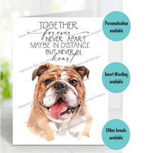 Bulldogge A6 (4 "x 6 ") Beileid Karte (innen leer) von Starprint Geschenke und Designs . Blank, um Ihre eigene Nachricht hineinzuschreiben