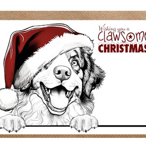 Berner Sennenhund Nr. 2 A6 (4 "x 6") Claw einige Weihnachtskarte (innen leer) von Starprint Gifts and Designs.