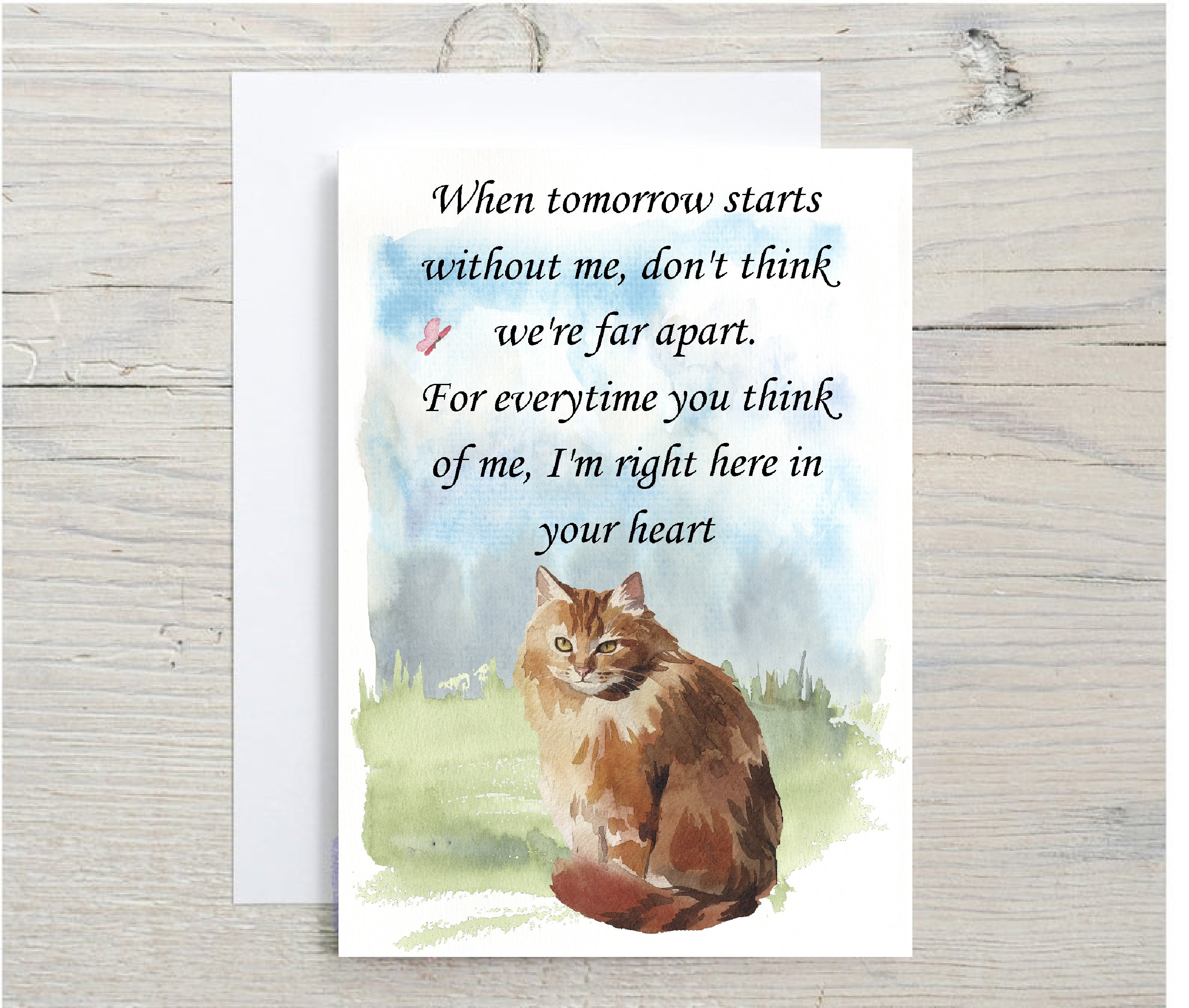 Ginger Cat A6 (4