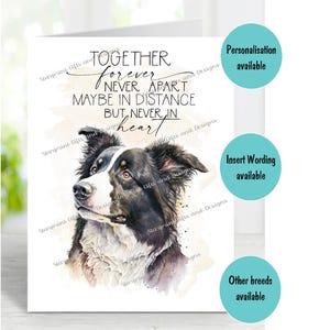 Border Collie Hund A6 (4 "x 6") Beileidkarte (innen leer) von Starprint Geschenke und Designs. Blank, um Ihre eigene Nachricht hineinzuschreiben