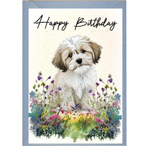 Maltese hond verjaardagskaart /notelet (6 "x 4") met envelop - ideaal voor elke gelegenheid. Kan leeg of gepersonaliseerd worden gelaten
