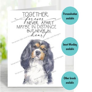 Cavalier Hund Tri A6 (4 "x 6") Beileidkarte (innen leer) von Starprint Geschenke und Designs . Blank, um Ihre eigene Nachricht hineinzuschreiben