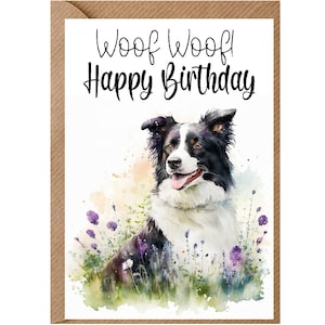 Border Collie Dog verjaardagskaart (6"x 4") met envelop - Ideaal voor elke gelegenheid. Kan leeg gelaten worden indien gewenst of gepersonaliseerd
