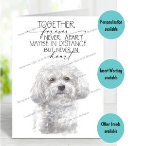 Bichon Frise Hund A6 (4 "x 6 ") Beileid Karte (innen leer) von Starprint Geschenke und Designs . Blank, um Ihre eigene Nachricht hineinzuschreiben