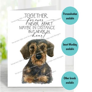 Dackel Drahthaar Hund A6 (4 "x 6") Beileidkarte (innen leer) von Starprint Geschenke und Designs. Blank, um Ihre eigene Nachricht hineinzuschreiben