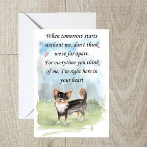 Langhaar Chihuahua Hund A6 (10 x 16") Sympathiekarte (Blanko Innen) von Starprint Geschenke und Designs. Leer, um Ihre eigene Nachricht hinein zu schreiben.