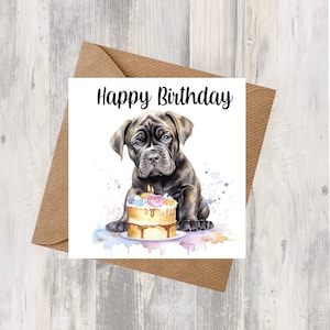 Cane Corso Hund 6 "x 6" Geburtstagskarte - Starprint Geschenke und Designs. Platz für Deine eigene Nachricht auf der Innenseite. Kann personalisiert werden.