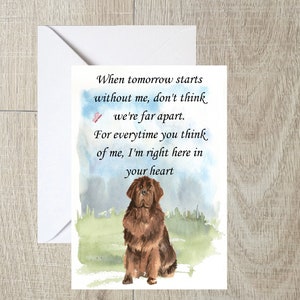 Newfounland Dog A6 (14"x 6") Sympathiekarte (Blank Inside) von Starprint Gifts and Designs. Leer, um Ihre eigene Nachricht hinein zu schreiben.