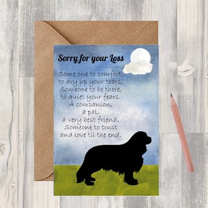 King Charles Dog A6 (14"x 6") Sympathiekarte (Blank Inside) von Starprint Geschenke und Designs. Leer, um Ihre eigene Nachricht hinein zu schreiben.