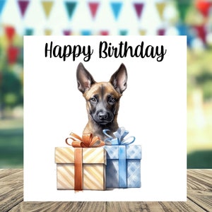 Belgischer Malinois Hund 6 "x 6" Geburtstagskarte - Starprint Geschenke und Designs. Platz für Deine eigene Nachricht auf der Innenseite. Kann personalisiert werden.