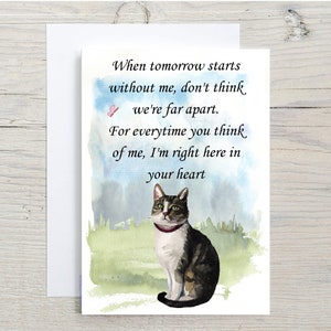 Schöne Hauskatze A6 (14"x 6") Sympathiekarte (Blank Inside) von Starprint Gifts and Designs. Leer, um Ihre eigene Nachricht hinein zu schreiben.
