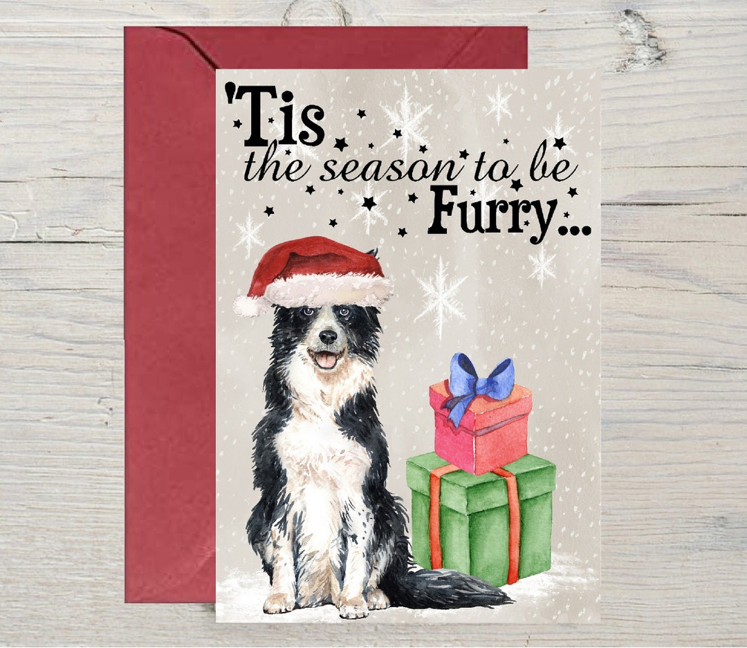 Border Collie Dog A6 (4"x 6") Christmas Card (blank Inside) by ...