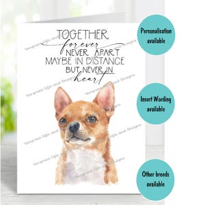 Chihuahua Kurzhaar Hund A6 (4 "x 6") Trauerkarte (innen leer) von Starprint Geschenke und Designs. Blank, um Ihre eigene Nachricht hineinzuschreiben