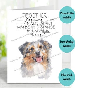 Australischer Schäferhund A6 (4 "x 6") Beileidkarte (innen leer) von Starprint Geschenke und Designs. Blank, um Ihre eigene Nachricht hineinzuschreiben