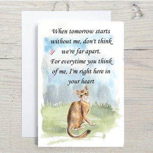 Abessinier Katze A6 (14"x 6") Sympathiekarte (Blank Inside) von Starprint Geschenke und Designs. Leer, um Ihre eigene Nachricht hinein zu schreiben.
