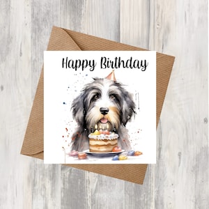 Bearded Collie Dog 6 "x 6" verjaardagskaart - Starprint geschenken en ontwerpen. Ruimte voor uw eigen bericht binnen. Kan gepersonaliseerd worden.