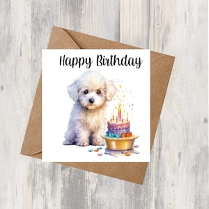 Carte d'anniversaire chien Bichon frisé 6 x 6 po. - Cadeaux et designs avec empreintes d'étoiles. De la place pour votre propre message à l'intérieur. Peut être personnalisé.