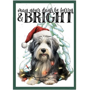 Bearded Collie-hond kerstkaart A6 (4"x 6") (blanco binnenkant). Veel ruimte voor je eigen bericht binnenin. Kan worden gepersonaliseerd.