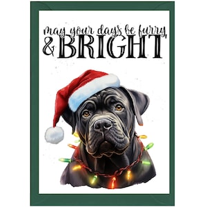 Carte de Noël Cane Corso Dog A6 (4 x 6 po.) (vierge à l'intérieur). Beaucoup d'espace pour votre propre message à l'intérieur. Peut être personnalisé.