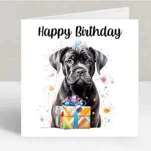 Carte d'anniversaire Cane Corso Dog 6 x 6 po. - Cadeaux et designs avec empreintes d'étoiles. De la place pour votre propre message à l'intérieur. Peut être personnalisé.