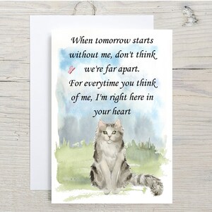Wunderschöne Ragamuffin Katze A6 (14"x 6") Sympathiekarte (Blank Inside) von Starprint Geschenke und Designs. Leer, um Ihre eigene Nachricht hinein zu schreiben.