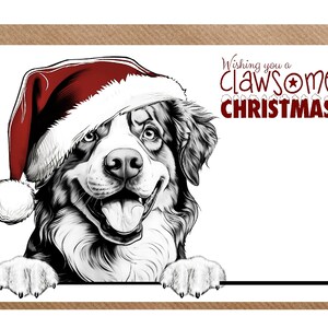 Berner Sennenhund A6 (6 Zoll x 15 cm) Weihnachtskarte mit Krallen (innen blanko) von Starprint Gifts and Designs.