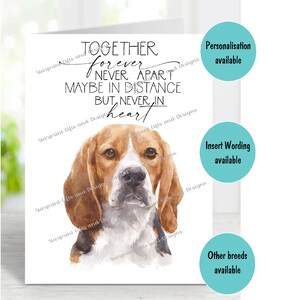 Beagle Hund Beileidkarte (innen leer) von Starprint Geschenke und Designs. Blank, um Ihre eigene Nachricht hineinzuschreiben