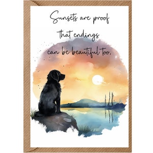 Beileidskarte mit Hund, Nr. 12, A6 (10,2 x 15,2 cm) (innen leer) von Starprint Gifts and Designs. Leer, um Ihre eigene Nachricht hineinzuschreiben.