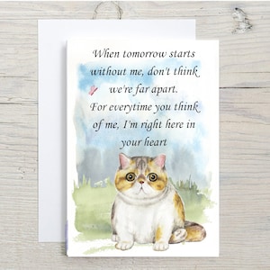 Schöne exotische kurzhaare Katze A6 (14"x 6") Sympathiekarte (Blank Inside) von Starprint Geschenke und Designs. Leer, um Ihre eigene Nachricht hinein zu schreiben.