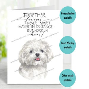 Maltesische Hund A6 (4 "x 6 ") Trauerkarte (innen leer) von Starprint Geschenke und Designs . Blank, um Ihre eigene Nachricht hineinzuschreiben