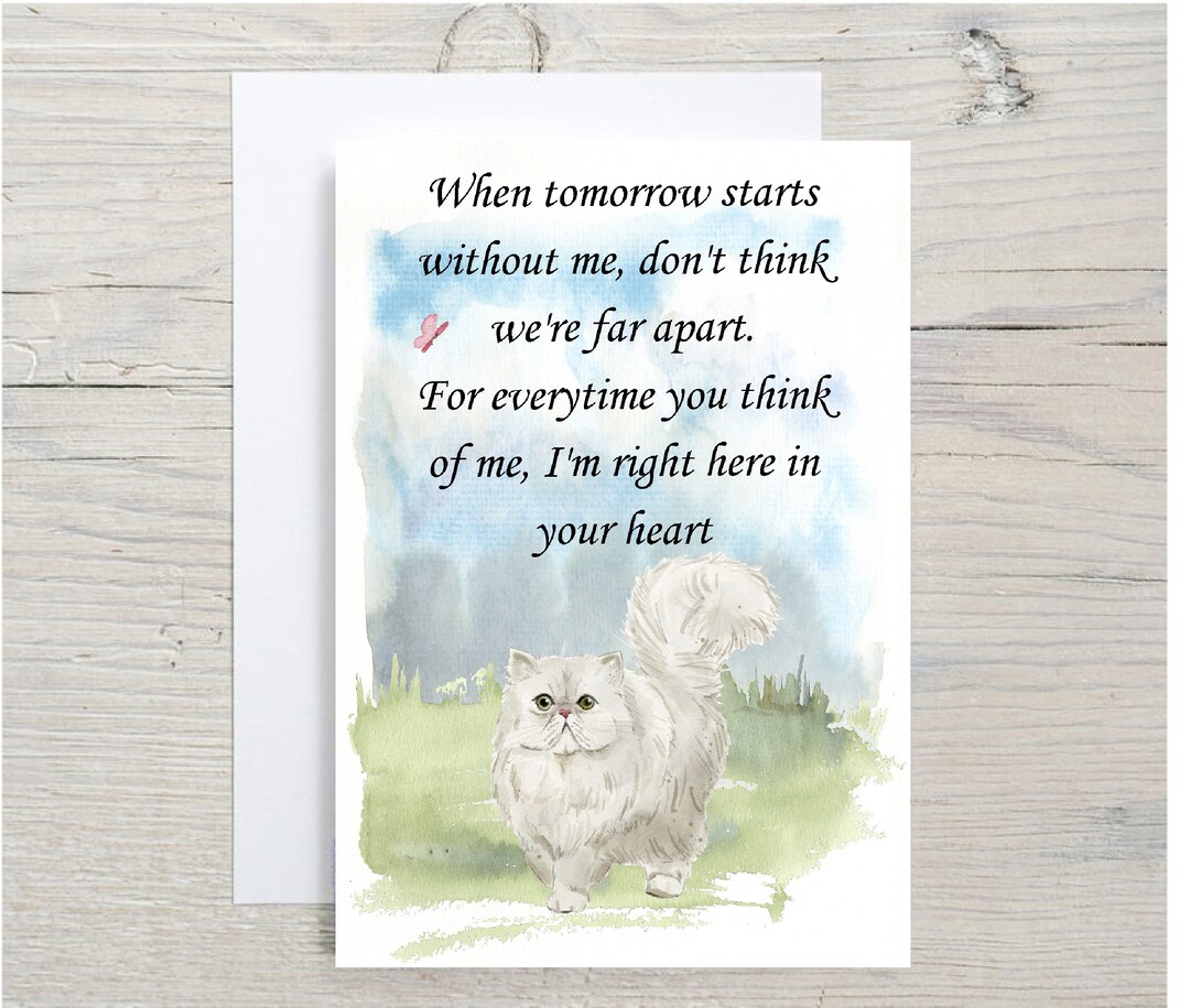 Beautiful Persian Cat A6 4x 6 Sympathy Card Etsy