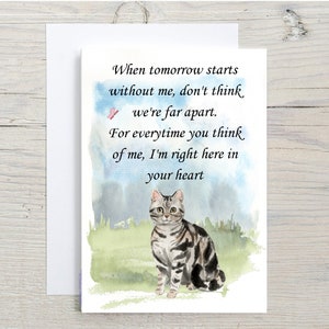 American Shorthair Cat A6 (10x6") Sympathiekarte (Blank Inside) von Starprint Geschenke und Designs. Leer, um Ihre eigene Nachricht hinein zu schreiben.
